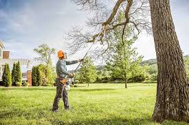 How Our Tree Care Process Works  in Osprey, FL